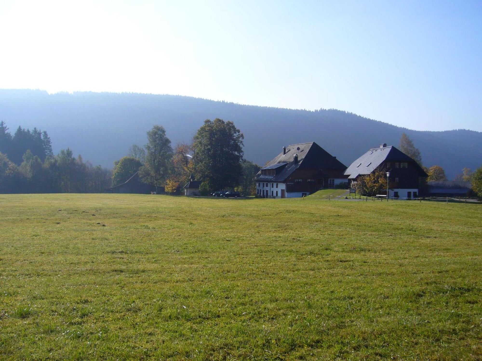 Hermeshof Und Biohaus Titisee-Neustadt Extérieur photo